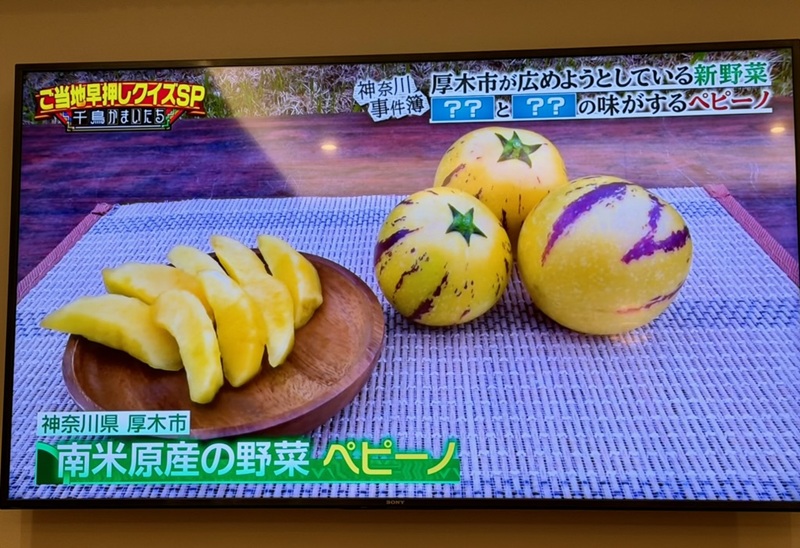 6/10（水）「千鳥かまいたちゴールデンアワー」で紹介されました！