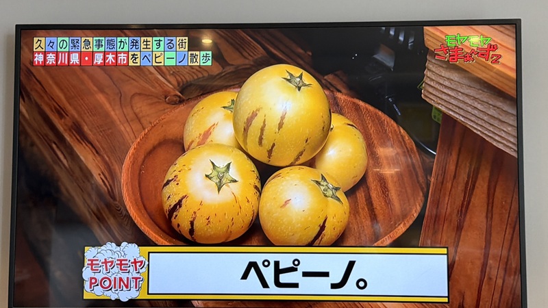 テレビ東京「モヤモヤさまぁ～ず2」で「あつぎペピーノ」が紹介されました